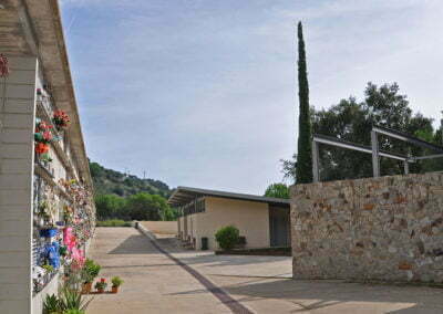 Pins de la Creu