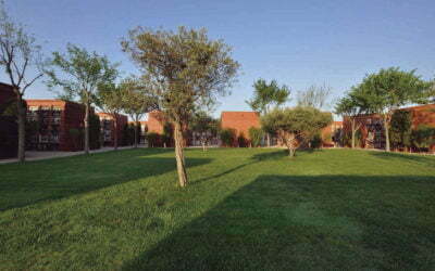 El Cementiri del Prat de Llobregat, candidat al premi de ‘Millor iniciativa mediambiental’ de l’Estat