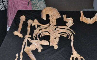 Altima patrocina un estudi que data les restes òssies d’una possible necròpolis romana a Sitges