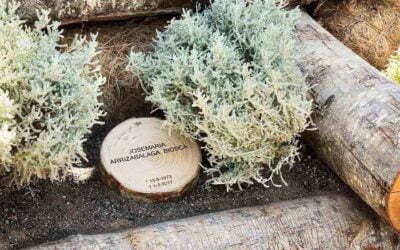 El ‘Camí del Bosc’ del Cementiri de Roques Blanques, guanyador als Premis Catalunya Construcció 2018