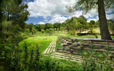 Àltima: Els cementiris del Baix Llobregat, Vallès Occidental, Garraf i Ripollès es preparen per a Tots Sants