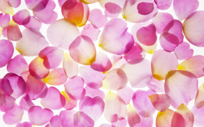 Un ram únic, un record per tota la vida