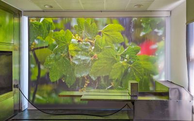 Els crematoris de Mémora de Reus i Manresa incorporen «l’últim comiat», un innovador servei per a les incineracions