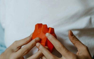 Dia del Donant d’Òrgans i Teixits, un compromís compartit amb la vida