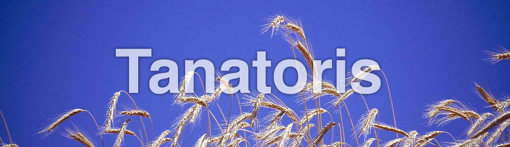 Tanatori de Palamós